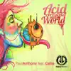 Acid Around the World (feat. Callie) - Single album lyrics, reviews, download