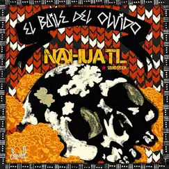 Baile del Olvido (Remixes) - EP by Nahuatl Sound System album reviews, ratings, credits