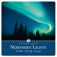 Northern Lights by Jeff Victor album reviews, ratings, credits