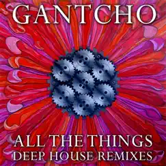 All The Things (Roberto Carbonero Galaxy Dome Remix) Song Lyrics