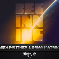 The Beginning - Single by Sex Panther & Brian Matrix album reviews, ratings, credits