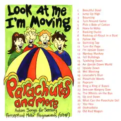 What Can the Parachute Do? Song Lyrics