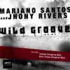 Wild Groove - Single album lyrics, reviews, download