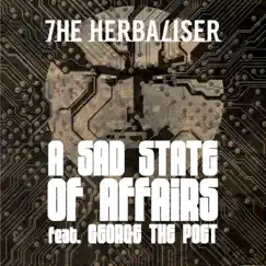A Sad State of Affairs (feat. George the Poet) [Irn Mnky Remix] Song Lyrics