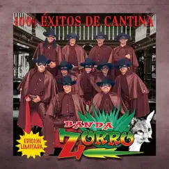 100% Éxitos de Cantina by Banda Zorro album reviews, ratings, credits