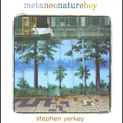 Metaneonatureboy by Stephen Yerkey album reviews, ratings, credits