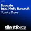 You Are There (feat. Molly Bancroft) - Single album lyrics, reviews, download