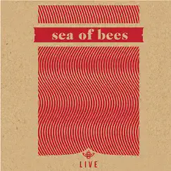 Live at the Hangar - 5/3/11 - EP by Sea of Bees album reviews, ratings, credits