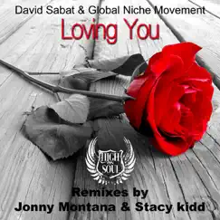 Loving You (Remixes) - EP by David Sabat & Global Niche Movement album reviews, ratings, credits
