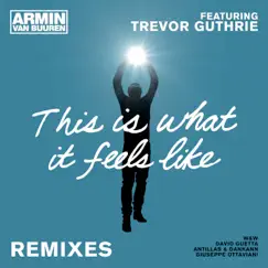 This Is What It Feels Like (feat. Trevor Guthrie) [Giuseppe Ottaviani Radio Edit] Song Lyrics