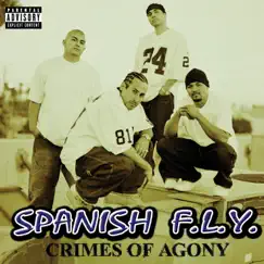 Crimes Of Agony (Explicit Version) by Spanish Fly album reviews, ratings, credits