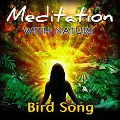 Bird Song by Brogue album reviews, ratings, credits
