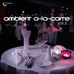 Ambient A-La-Carte, Vol. 2 by Various Artists album reviews, ratings, credits