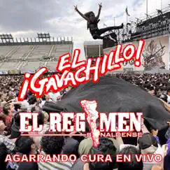 Agarrando Cura (en Vivo) - Single by El Gavachillo & El Regimen Sinaloense album reviews, ratings, credits