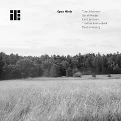 Open Minds by Tore Johansen album reviews, ratings, credits