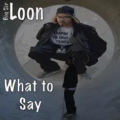 What to Say? - Single by Big Sir Loon album reviews, ratings, credits