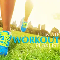 The Ultimate Workout Playlist by Various Artists album reviews, ratings, credits