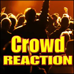 Crowd, Reaction - Large Indoor Crowd: Arena Ohh Reaction, Disappointed & Doubtful Crowds, Stadium & Arena Crowds Song Lyrics