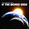 If the World Ends (feat. Tori K) song lyrics