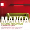Electric Relaxation (Nu Chillout & Lounge Synthesis) album lyrics, reviews, download