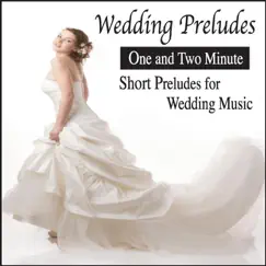Wedding Preludes: One and Two Minute Short Preludes for Wedding Music by Steven Snow album reviews, ratings, credits