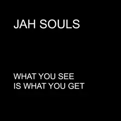 What You See Is What You Get - Single (feat. Wailing Souls & Andrew Tosh) - Single by Jah Souls album reviews, ratings, credits