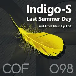 Last Summer Day - Single by Indigo-s album reviews, ratings, credits