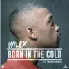 Born In the Cold (feat. Andreena Mill) song lyrics