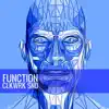 Function - Single album lyrics, reviews, download