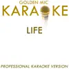 Life (In the Style of Des'ree) [Karaoke Version] - Single album lyrics, reviews, download