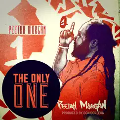 The Only One - Single by Peetah Morgan album reviews, ratings, credits
