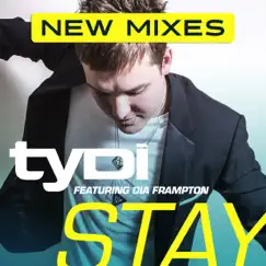 Stay (Steve James Remix) [feat. Dia Frampton] Song Lyrics
