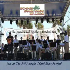 Live At the 2012 Amelia Island Blues Festival - Single by Roger 