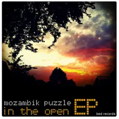 In the Open - Single by Mozambik Puzzle album reviews, ratings, credits