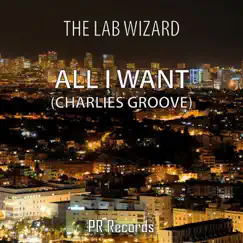 All I Want (Charlies Groove) [Amir Hakim Remix] Song Lyrics