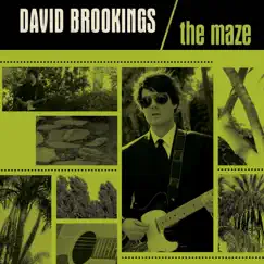 The Maze by David Brookings album reviews, ratings, credits