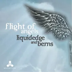 Flight of Angels - Single by LiquidEDGE & Berns album reviews, ratings, credits