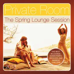 Private Room, the Spring Lounge Session 2013 (The Best in Lounge, Downtempo Grooves and Ambient Chillers) by Various Artists album reviews, ratings, credits