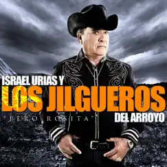 Pero Rosita by Israel Urias & Los Jilgueros del Arroyo album reviews, ratings, credits