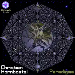 Paradigma - Single by Christian Hornbostel album reviews, ratings, credits