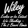 Evolve or Be Extinct b/w Skanking (The 2 Bears Remix) album lyrics, reviews, download