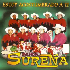 Tu Aventura Song Lyrics