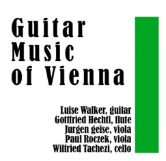 Quartet in G for Guitar, Flute. Viola and Cello, D 96: Menuetto Song Lyrics