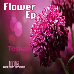Flower - Single by TESHAZ album reviews, ratings, credits