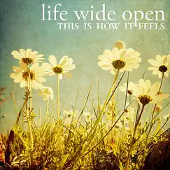 This Is How It Feels - Single by Life Wide Open album reviews, ratings, credits