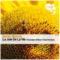 La joie de la vie (River'n'Sea Remix) Song Lyrics