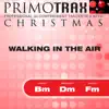Walking in the Air - Christmas Primotrax - Performance Tracks - EP album lyrics, reviews, download