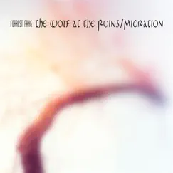 The Wolf at the Ruins / Migration by Forrest Fang album reviews, ratings, credits