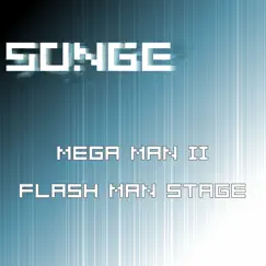 Flash Man Stage (from 