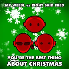 You're the Best Thing About Christmas (Mr Weebl vs. Right Said Fred) Song Lyrics